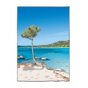 Illustration de la plage de Palombaggia, Porto-Vecchio, Corse du sud - Copyright Gwendal Hasson